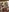 Aiko_Yumi's photo