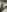 Solofucker33's photo