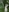 Risky Outdoor: Naked in the forest