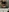 MissDesire0's photo