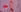 FlowerofLove's photo