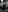 Savvanahh's photo