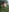 virtualmari's photo