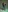 New photos