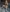MissEla's photo