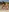 ♀️♀️Bikini Babes