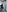 LittleFox___'s photo