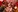 Dante_Katty's photo