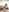ebonytitts4u's photo