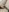 Lina_Brownie's photo