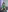 sarah_cleir's photo
