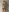 NAUGHTY NAKED GIRL