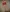 La_patronne_eva's photo