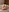 adam-tessa-morel's photo