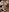 Facial Close Up Pics