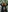 Alyssa_Smitt's photo