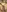 hairy pussy cumshot / buceta peludinha toda gozada