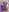 _Babyface_'s photo