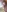 GanseloMix's photo