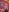 PollyCorell's photo