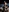 karlyprintt's photo