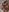 🧸🎉Lulu and Nancy 30 sexy B-DAY pics part 2🎉🧸