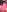 Tsuki_Maru's photo