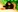 sally_rosses's photo