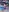 -ethan7inches-'s photo