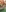 Exclusive bikini photos