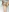 tania_lucia1's photo
