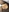 BigBoobsCeylin's photo
