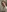alluringpixie's photo