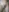 houkeiboy78's photo