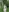 Risky Outdoor: Naked in the forest