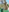 shelby_kutter's photo
