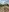 Luxywilson's photo