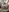 lilysister66's photo