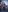 Alicebrooks_'s photo