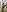Spicy naked pic in a toailet