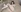 RuthMorse's photo