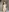 adahara19's photo