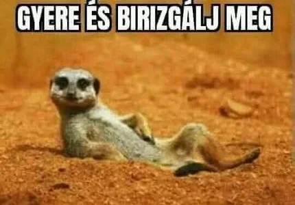 biga00 Public รูป  3