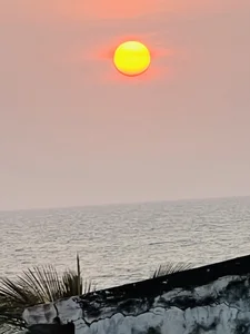 africa_xxxbeach days图片