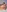 Kylie_Franks's photo
