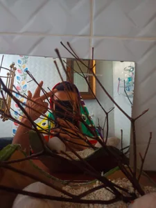 danielitopapuu :) Pic 3