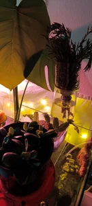 anaroman01 A house full of life and love ❤️ Εικόνα 9