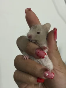 AllisonCherris Randoms🩷 Foto 7