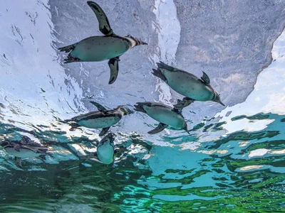 _hina_chan_Public Bild 4