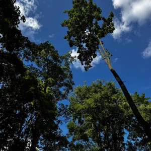 It's just a beautiful selection, because where else will you see it besides my account? de AlexFH  2 Imagens